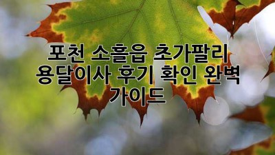 포천 소흘읍 초가팔리 용달이사 후기 확인 완벽 가이드